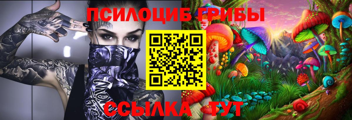 Галлюциногенные грибы MAGIC MUSHROOMS Котлас
